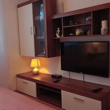 Apartment Radovic