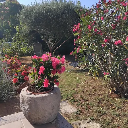 Appartement Radovic Labin (Istria)