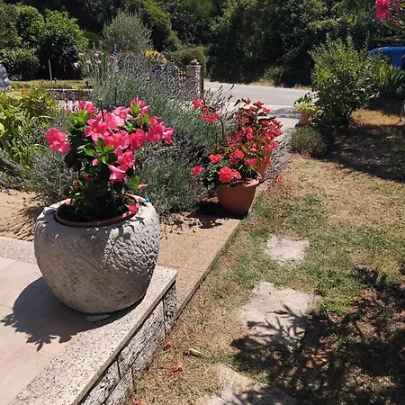 Appartement Radovic Labin (Istria)